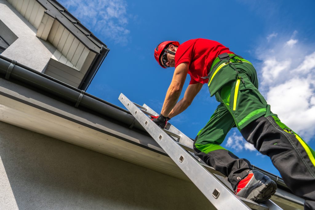 Roof coverings that do not require intensive maintenance